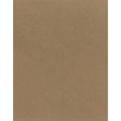 Poster Boards, Item Number 1591019