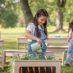 ANGLEIMAGES_FULLIMAGE