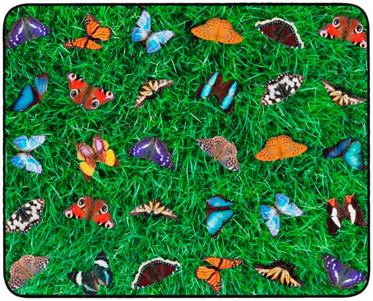Childcraft PhotoFun Butterfly Seating Carpet, Rectangle 4002071
