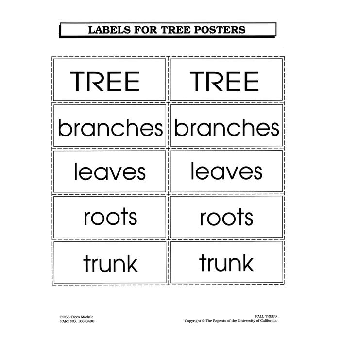 FOSS Poster Labels, Parts of a Tree, 2 Sheets