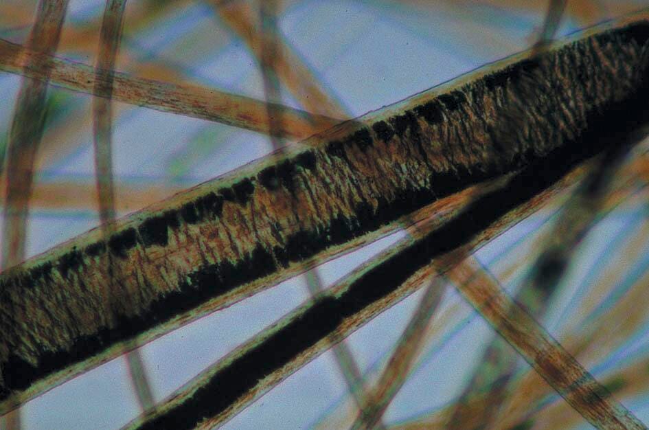 Science Survey Sets, Item Number 581440