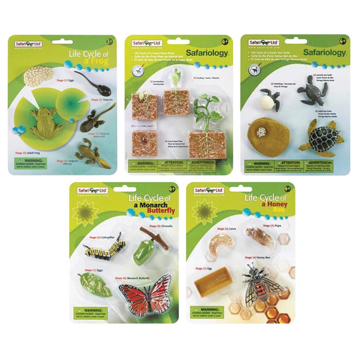 Safari Ltd Complete Set Lifecycle Models - Set of 5