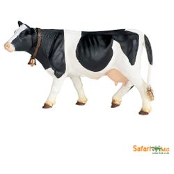 ANGLEIMAGES_FULLIMAGE