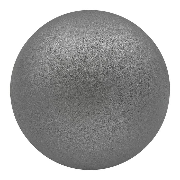 Champion Sports Iron Practice Shot Put, 8 Pounds