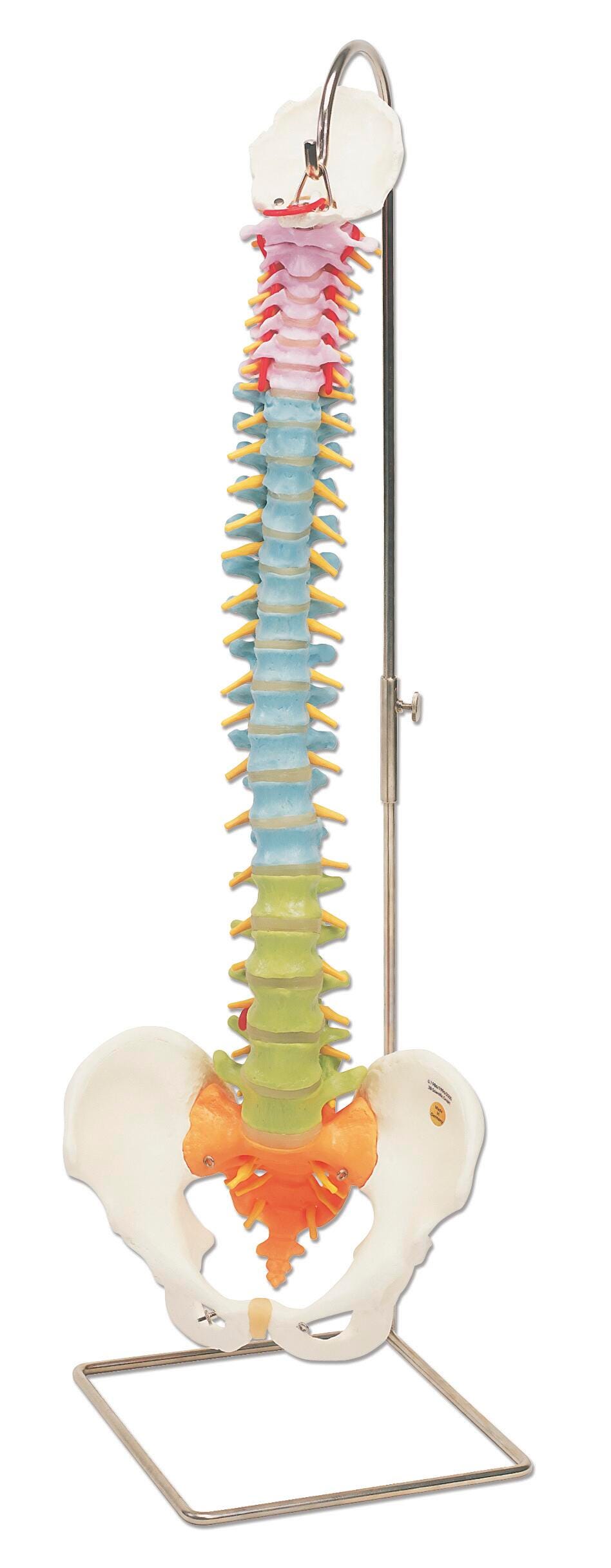 Studio Supplies, Item Number 1459053