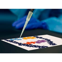Pipettes, Item Number 2039702