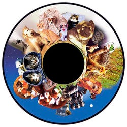 Solar Effect Wheel, Kittens & Puppies 2125711