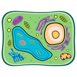 See-Through Plant Cell Builder 2133738
