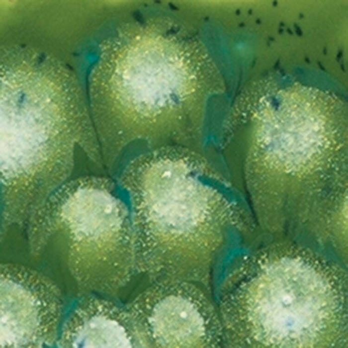 Mayco Crystalite Crystal Glaze, S2715 Spotted Kiwi, Semi-Opaque, Pint