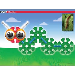 ANGLEIMAGES_FULLIMAGE