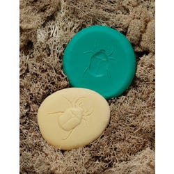 ANGLEIMAGES_FULLIMAGE