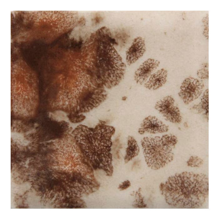 Mayco Jungle Gems Crystal Glaze, Pint, CG-795 Yadro Print, Transparent