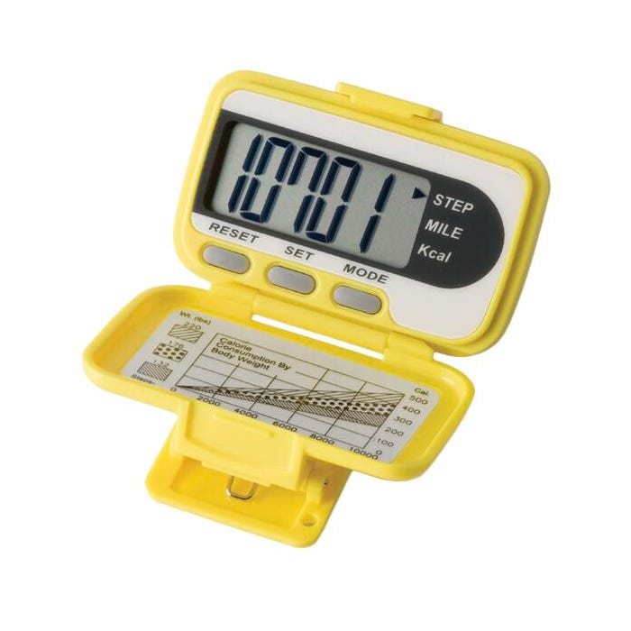 EKHO Bee-Fit Worker Bee Pedometer School Set, Set of 32
