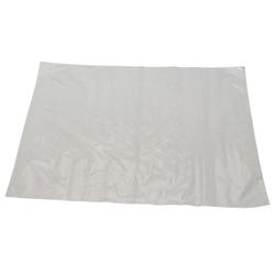 Delta Education Plastic Bag, Zipper Closure, 10 x 12 Inches