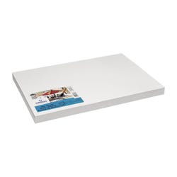 Canson Artist Series Mixed Media Paper, 138 lb, 12 x 18 Inches, 100 Sheets
