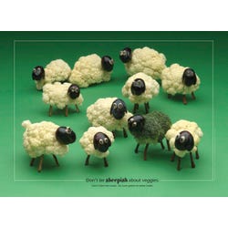 Health Posters, Wellness Posters Supplies, Item Number 1457758