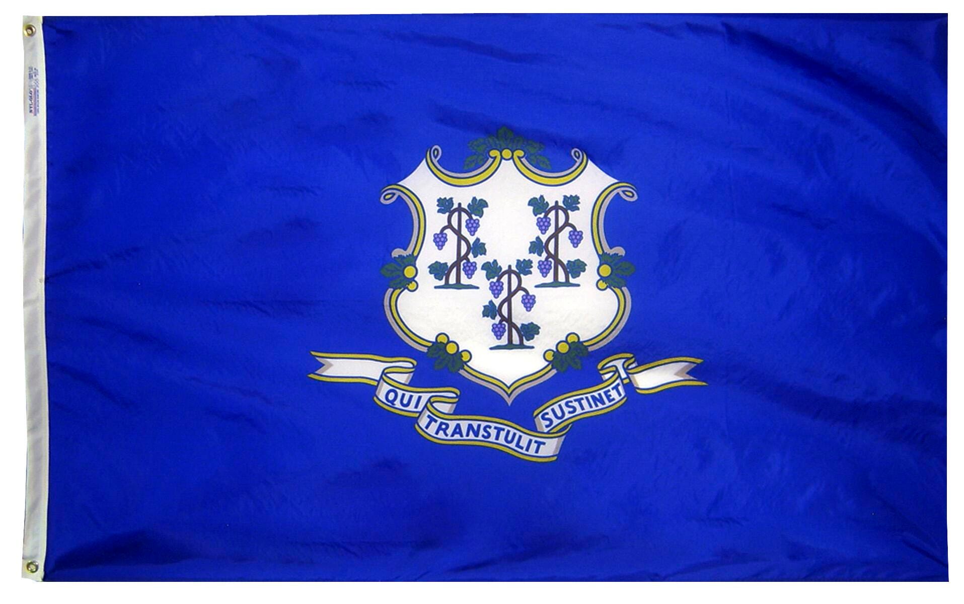 Image for Annin Connecticut State Flag, Heavy Weight Nylon, Outdoor, 4 x 6 Feet from School Specialty