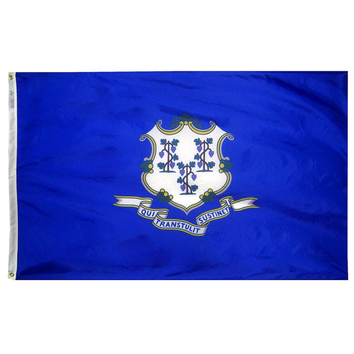 Annin Connecticut State Flag, Heavy Weight Nylon, Outdoor, 4 x 6 Feet