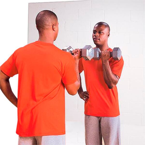 Glassless Wall Mounted Mirror, 48 x 96 Inches 2124576