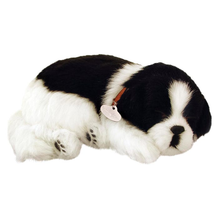 Perfect Petzzz Border Collie