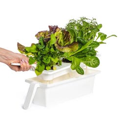 ANGLEIMAGES_FULLIMAGE