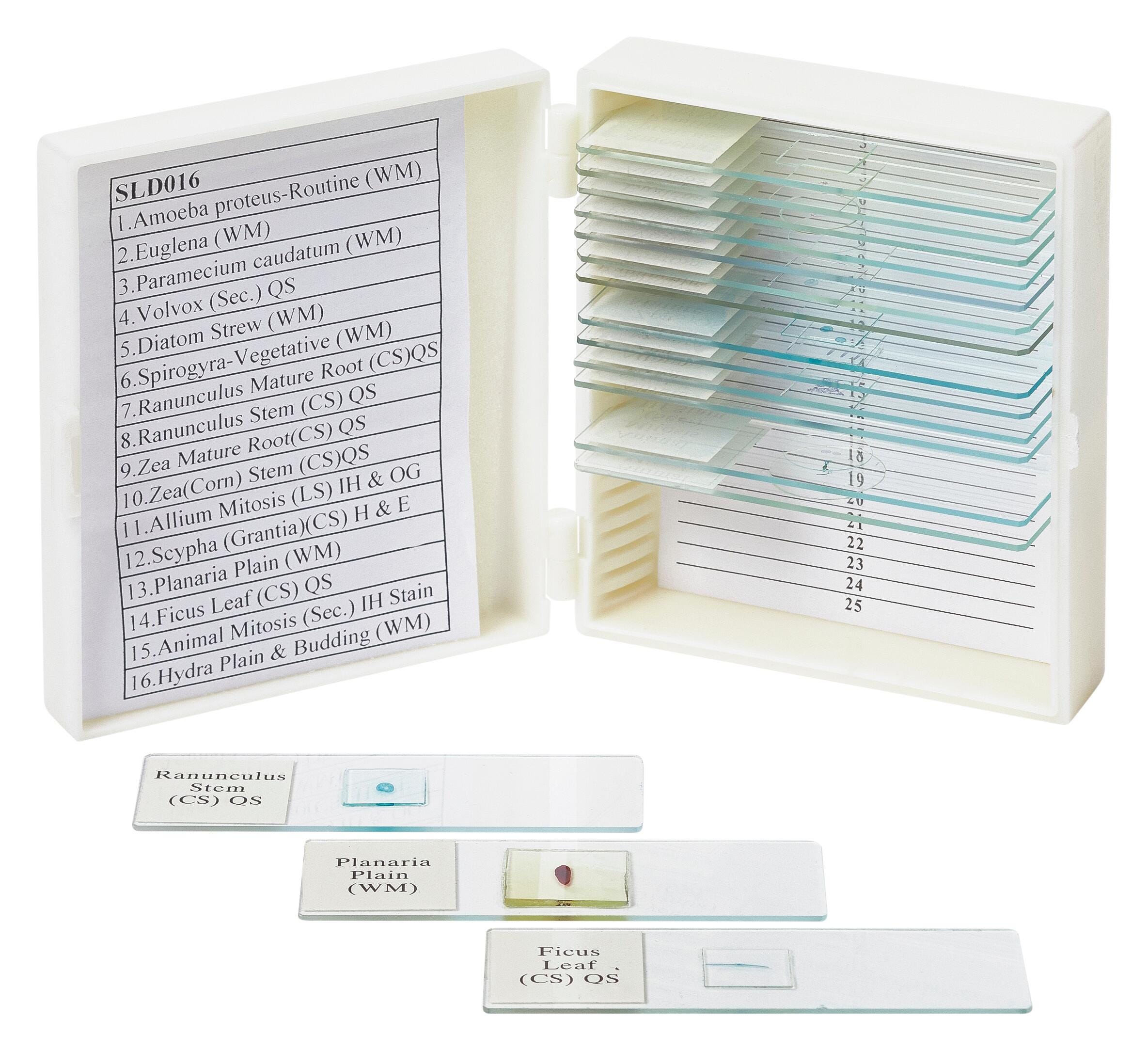 United Scientific Biology Prepared Slides, Set of 16