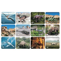 Roylco Discover Dinosaurs Picture Cards & X-ray, Item Number 2103920