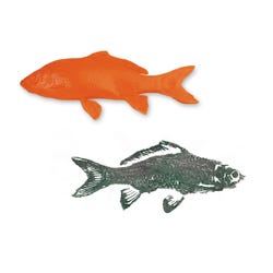 Nasco Fish Replica Rubber Stamp for Printmaking, Carp, Orange, 12-1/2 x 5 Inch