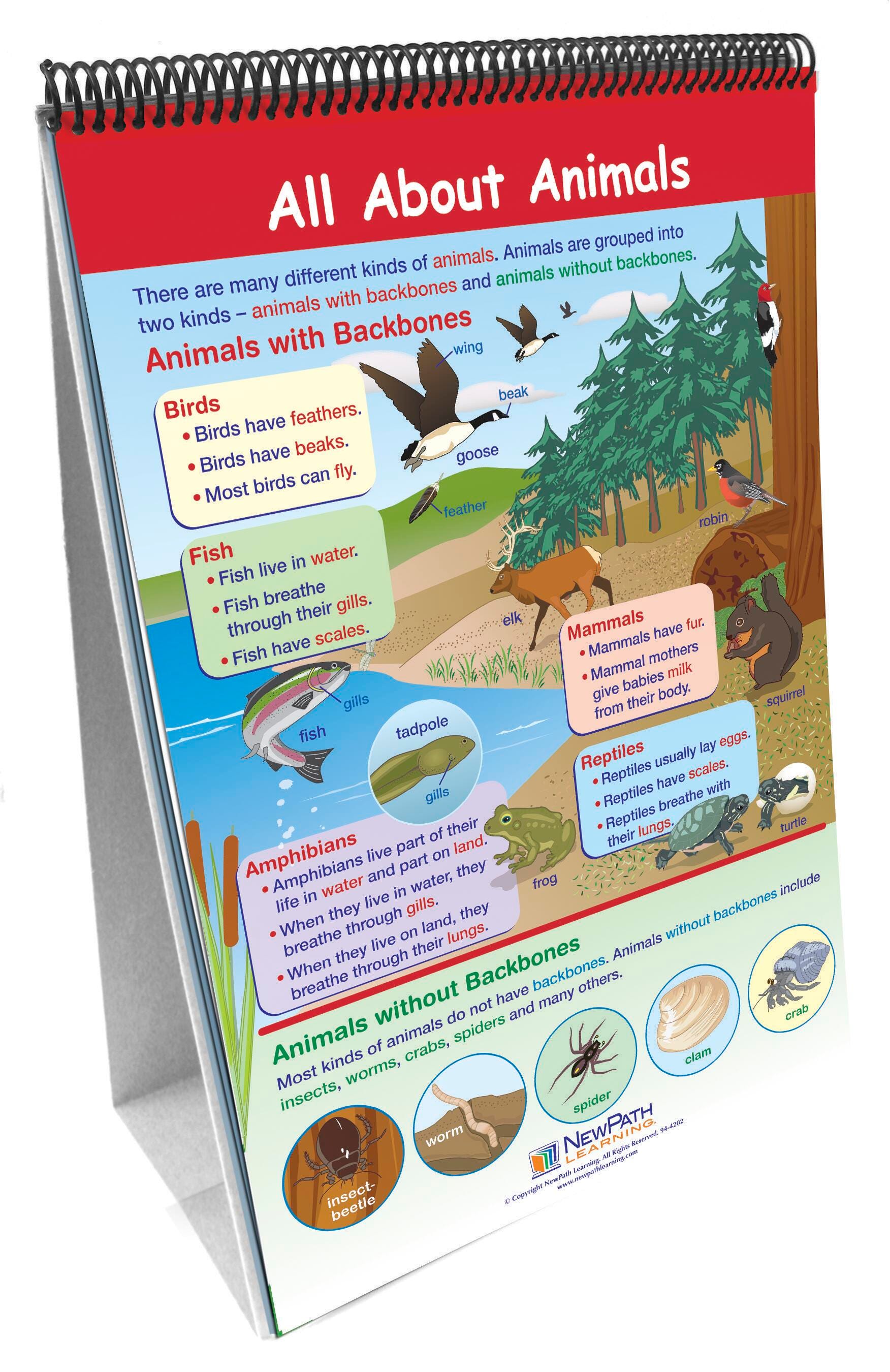 Teacher Resources, Item Number 1302650