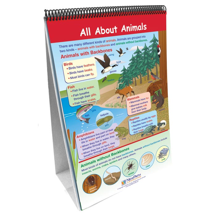 NewPath Learning Science Write-On/Wipe-Off Flip Chart Set, Grade 2