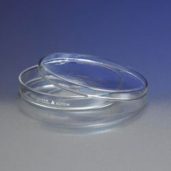 Science Lab Dishes, Item Number 593934