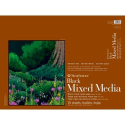 Multimedia Paper, Item Number 2021624