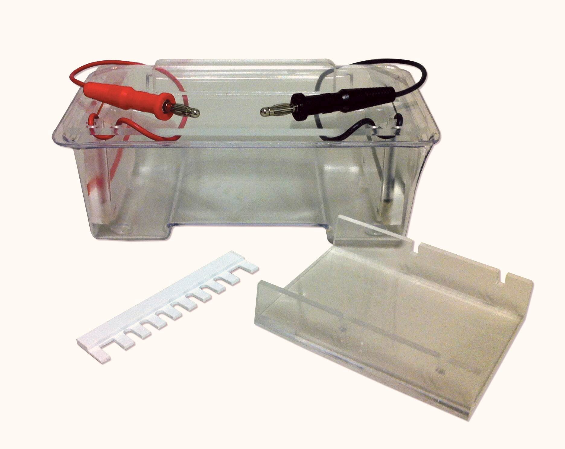 Image for Frey Scientific Single-Gel Electrophoresis Apparatus from School Specialty