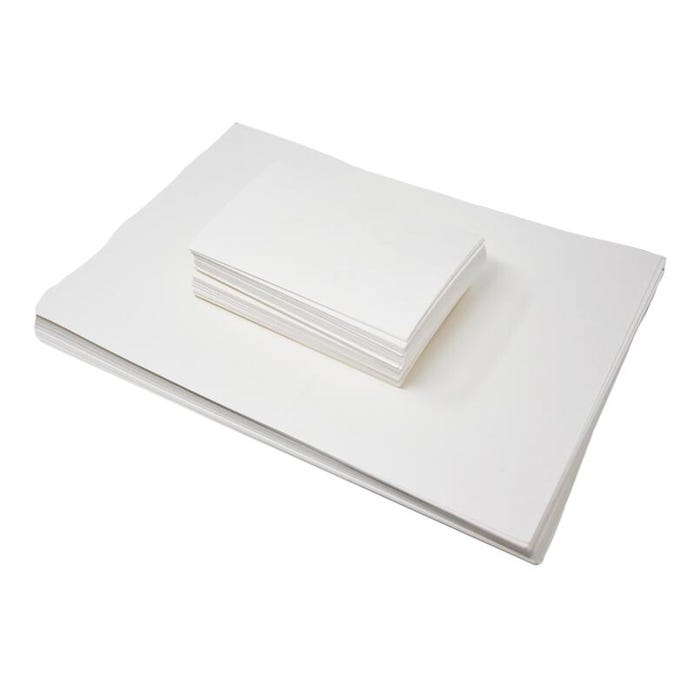 DeltaBio Plant Press Ventilator, 12 x 18 Inches, Pack of 50