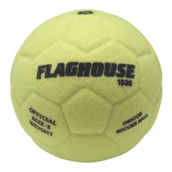 FlagHouse Series Indoor Soccer Ball, Size 5 2126839