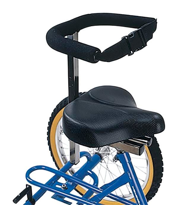 Triaid Back Trunk Support Accessory For Terrier Tricycle, Item Number 015800