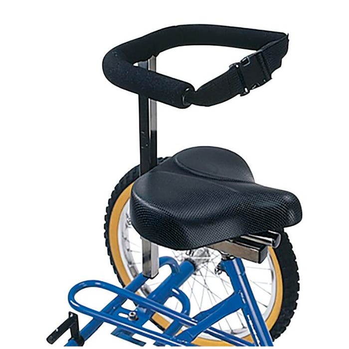 Triaid Back Trunk Support Accessory For Terrier Tricycle