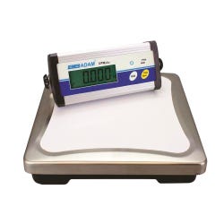CPWPLUS 15 BENCH SCALE 2134526