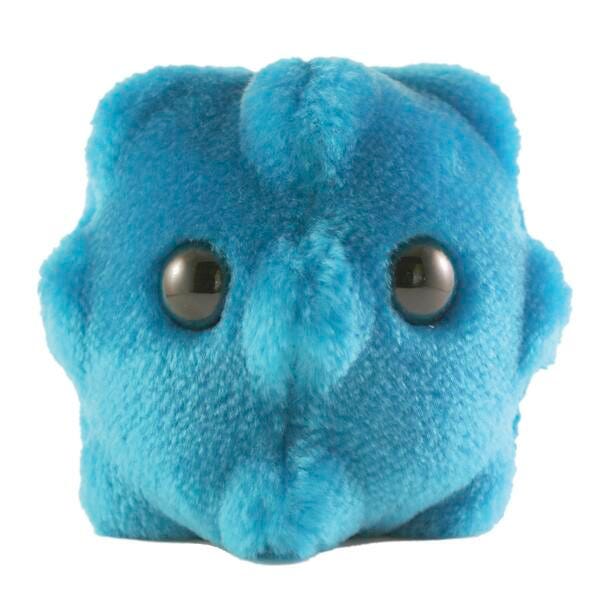 GIANTmicrobes Common Cold (Rhinovirus) Plush, 5 Inches, Item Number 1302686