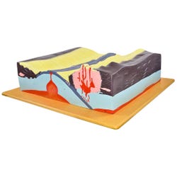 Image for Eisco Labs Tectonics Model with Labeled Features from School Specialty