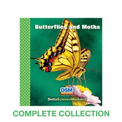 DSM Butterflies And Moths Collection, Item Number 2101440