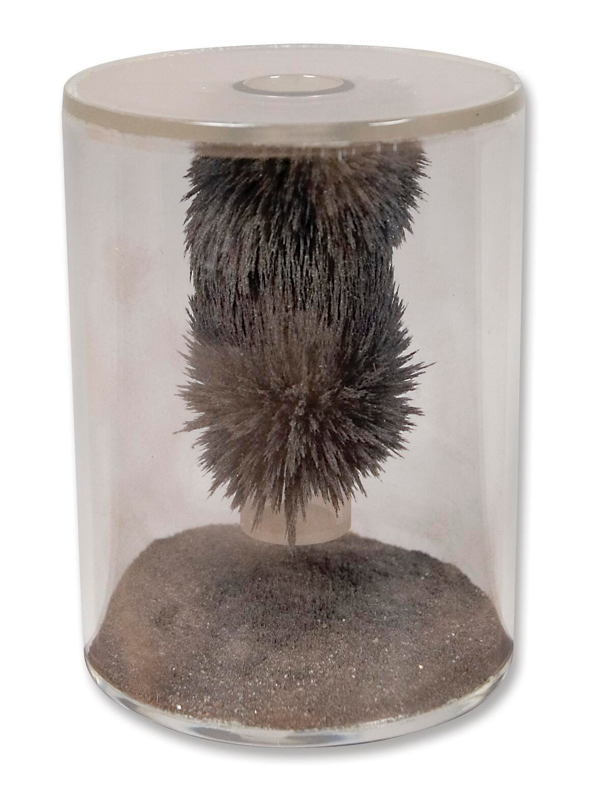 Magnetism, Item Number 130-6315