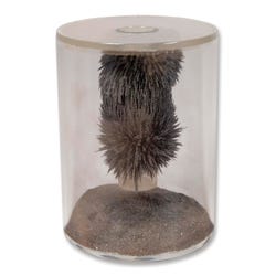 Magnetism, Item Number 130-6315