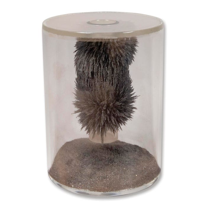Delta Education Magnetic Field Demonstrator