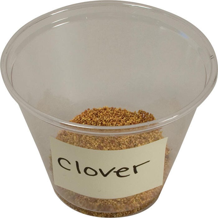 Delta Education Clover Seeds, Pack of 1000