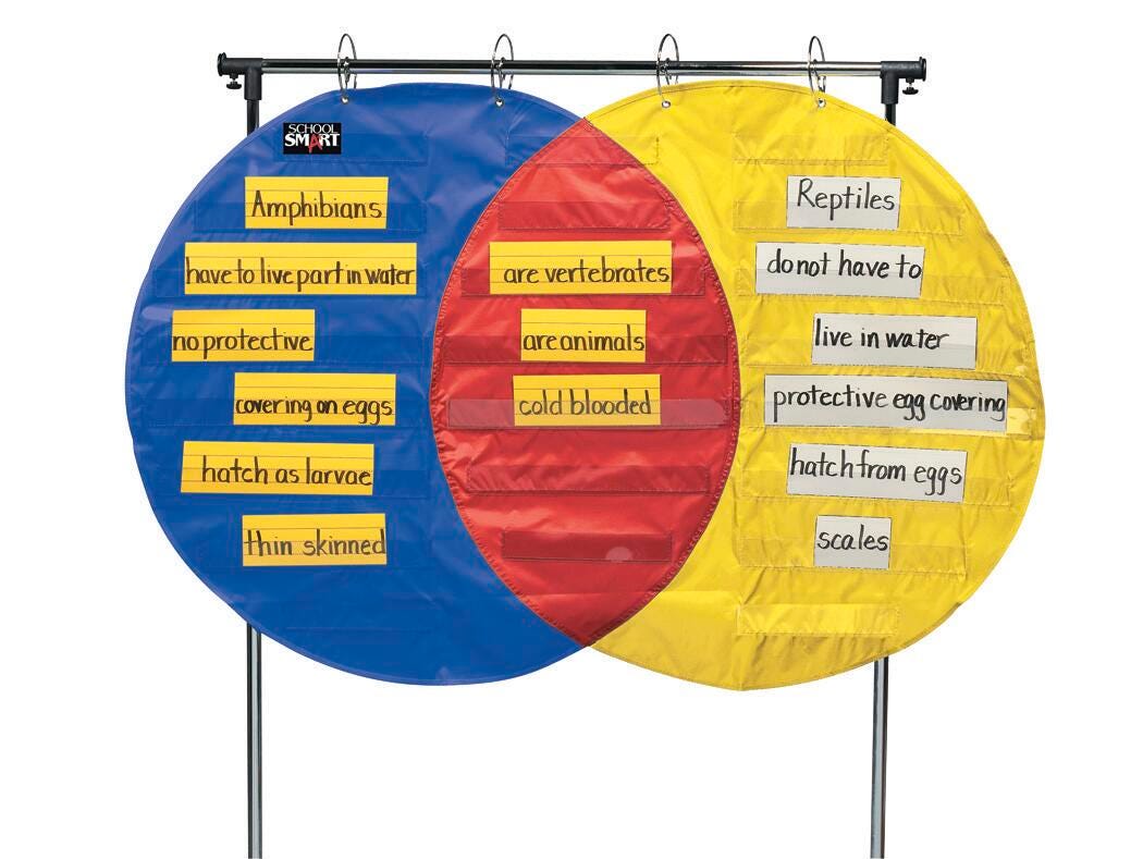 School Smart Venn Diagram Pocket Chart, 3 Circles, 4 x 35-1/2 inches, 23 Pockets, Item Number 085139