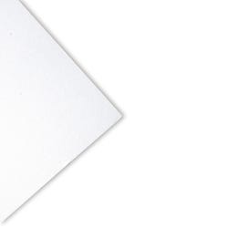 Strathmore® 300 Bristol Board Smooth Sheets, 22-1/2 x 28-1/2 Inch, White, Pack of 25