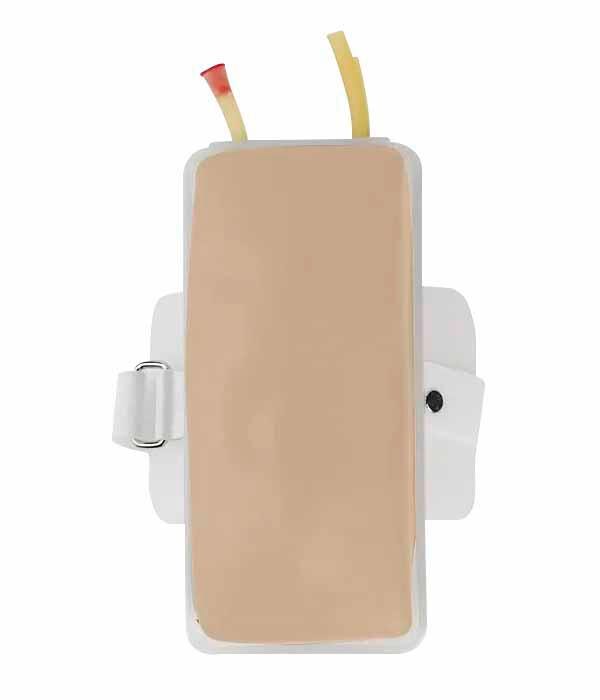 Image for Life/form® Venatech IV Trainer - Light from School Specialty