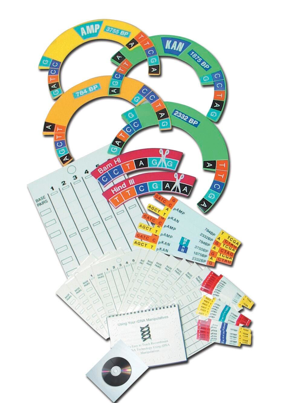 DNA Manipulative Kit, Item Number 1385343
