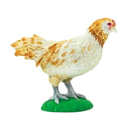 ANGLEIMAGES_FULLIMAGE